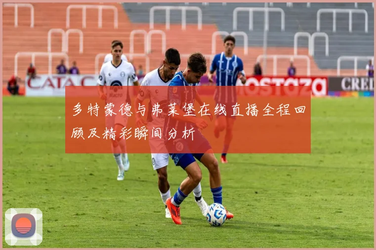 多特蒙德与弗莱堡在线直播全程回顾及精彩瞬间分析
