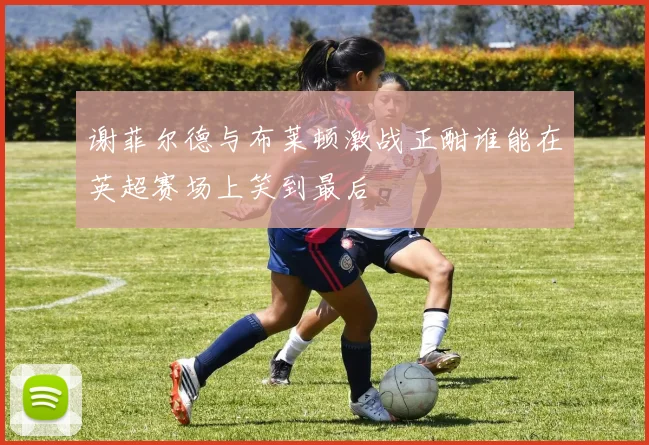 谢菲尔德与布莱顿激战正酣谁能在英超赛场上笑到最后
