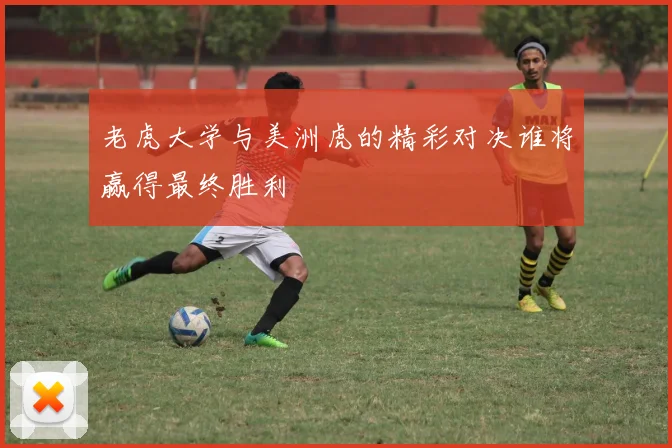 老虎大学与美洲虎的精彩对决谁将赢得最终胜利