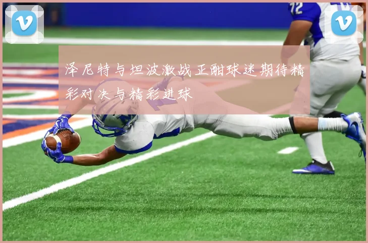 泽尼特与坦波激战正酣球迷期待精彩对决与精彩进球