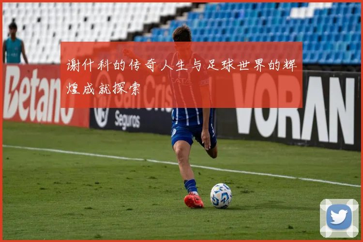 谢什科的传奇人生与足球世界的辉煌成就探索